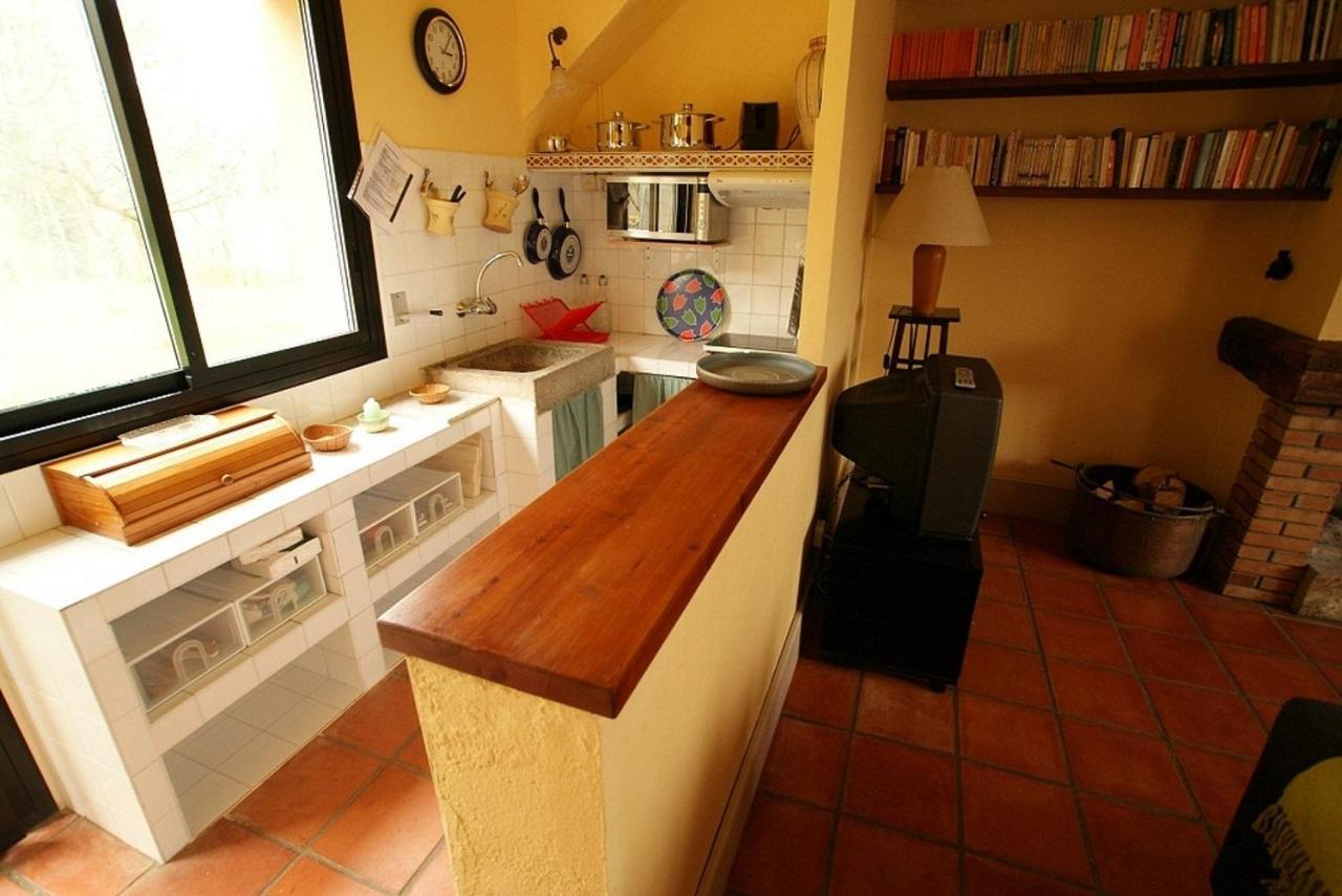 Mas Prat Apartment La Vall de Bianya Bagian luar foto
